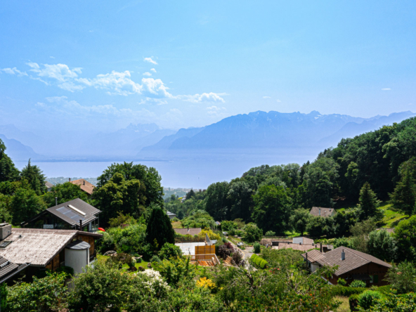 Vue imprenable sur le lac Léman depuis Jongny