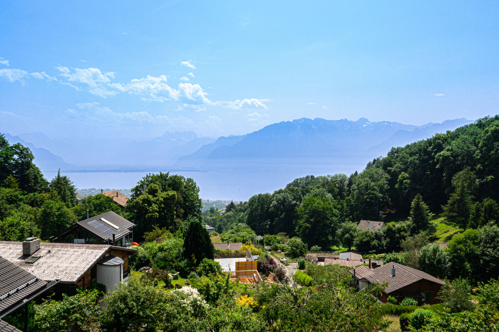 Vue panoramique sur le lac Léman et les Alpes depuis Jongny, avec toits de maisons et forêts en avant-plan