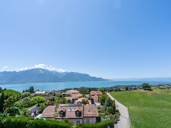 Vue aérienne sur Brent avec le Léman et les montagnes en arrière-plan