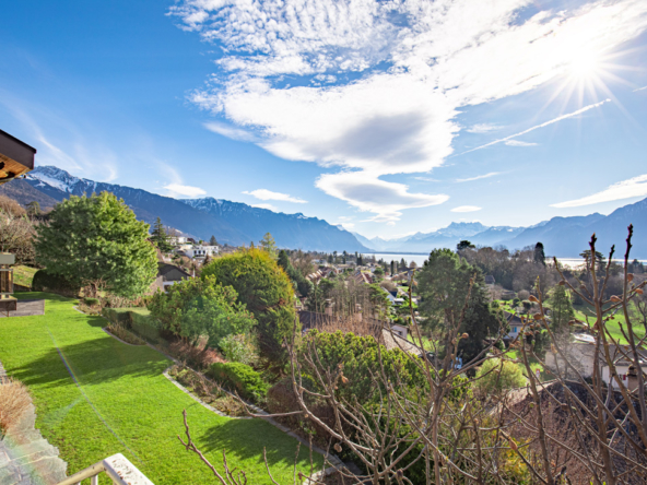 Vue panoramique sur le lac et les Alpes