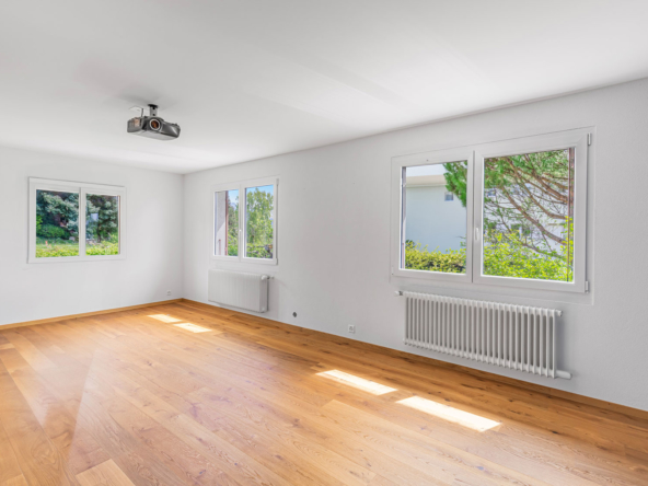 Une salle de projection ou de jeux à Vevey