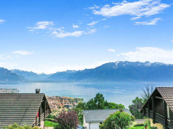 Vue dégagée sur le Léman à Chardonne