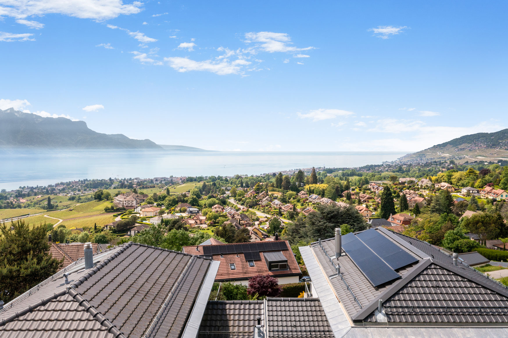 Vue panoramique sur le Léman, les vignes et les toits des habitations depuis Blonay