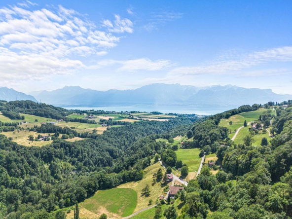 Homewell_Immobilier_Monts-Corsier_Villa-19