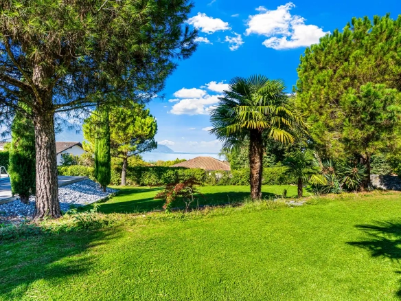 Grand jardin arboré avec palmiers et pelouse verdoyante à Villeneuve.