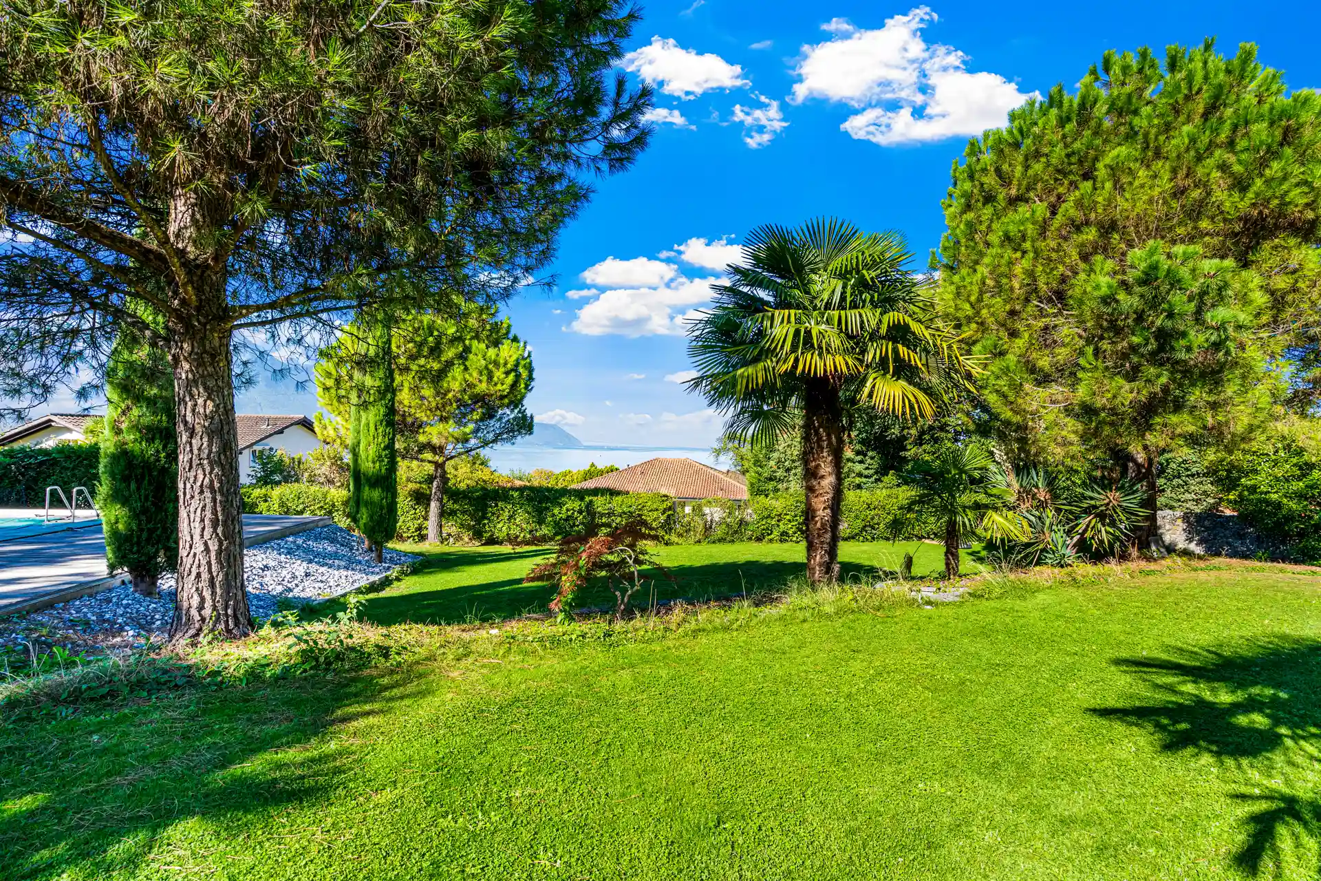 Grand jardin arboré avec palmiers et pelouse verdoyante à Villeneuve.