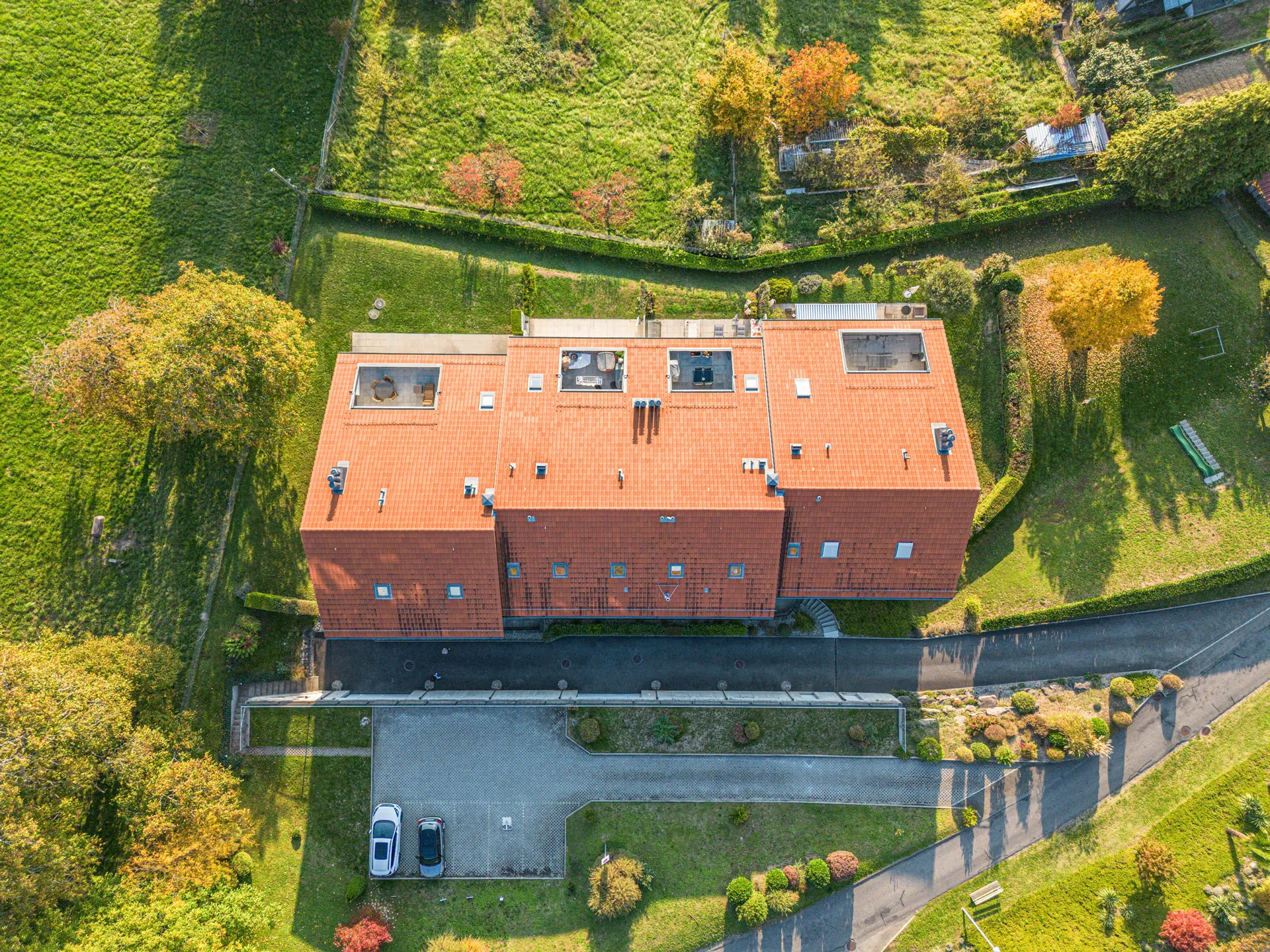 appartement-chernex-vendre-immobilier-cheminée 2