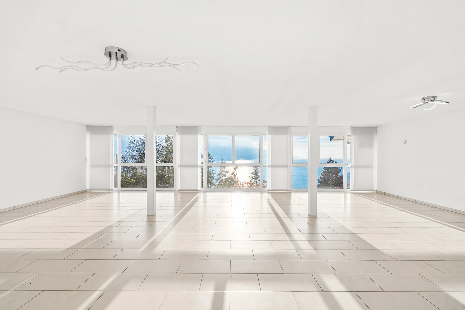 appartement-chernex-vendre-immobilier-cheminée 7