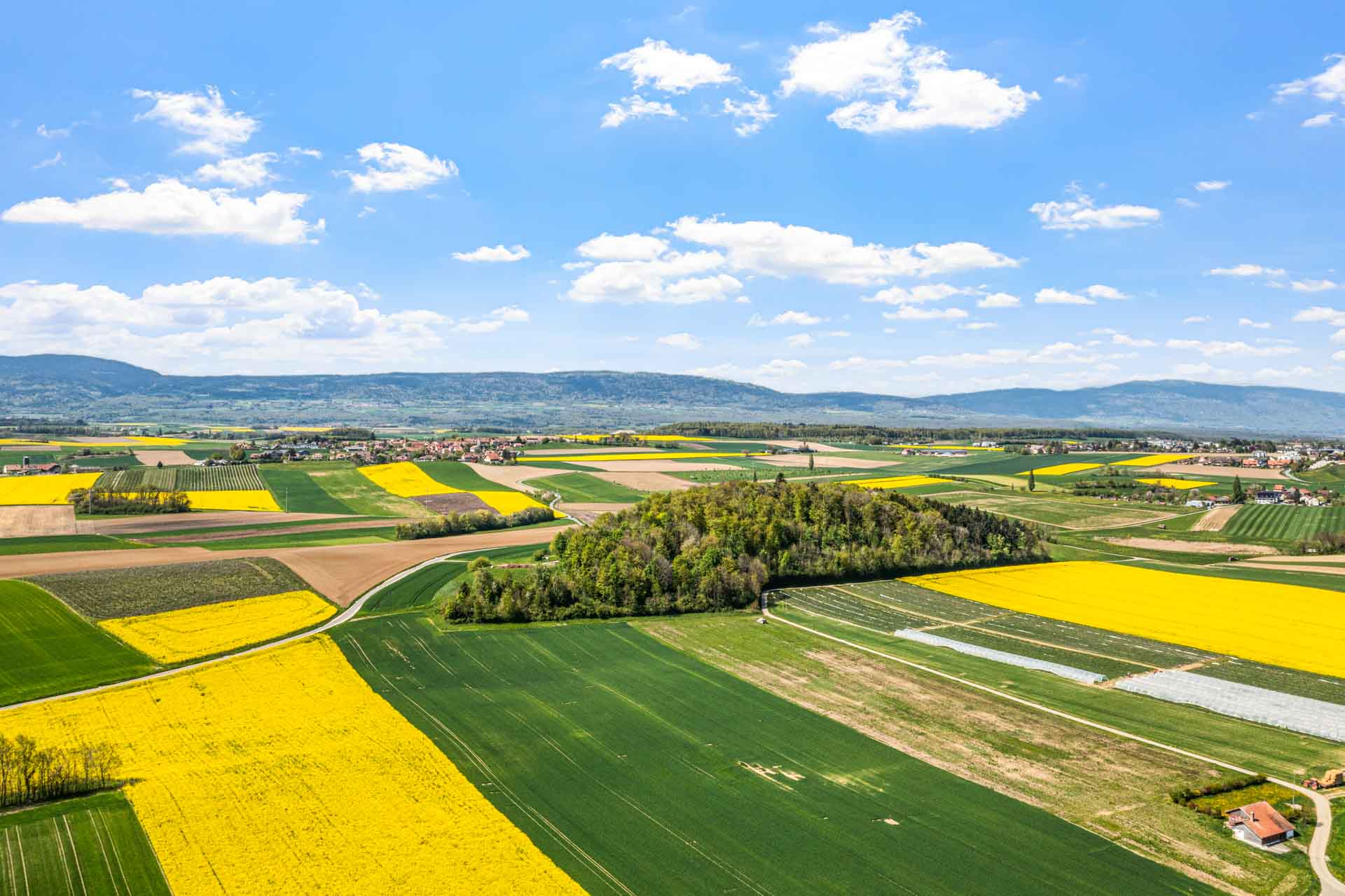 Vue dégagée sur la campagne vue dégagée campagne Gollion paysage ouvert