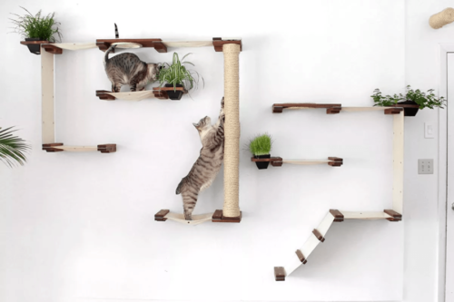 chat1
