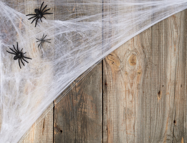 Homewell déco Halloween Homewell déco Halloween