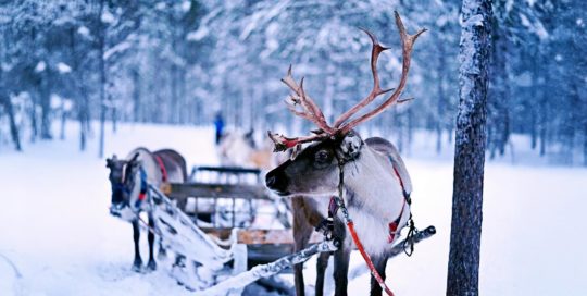 Les caractéristiques des maisons traditionnelles de Noël